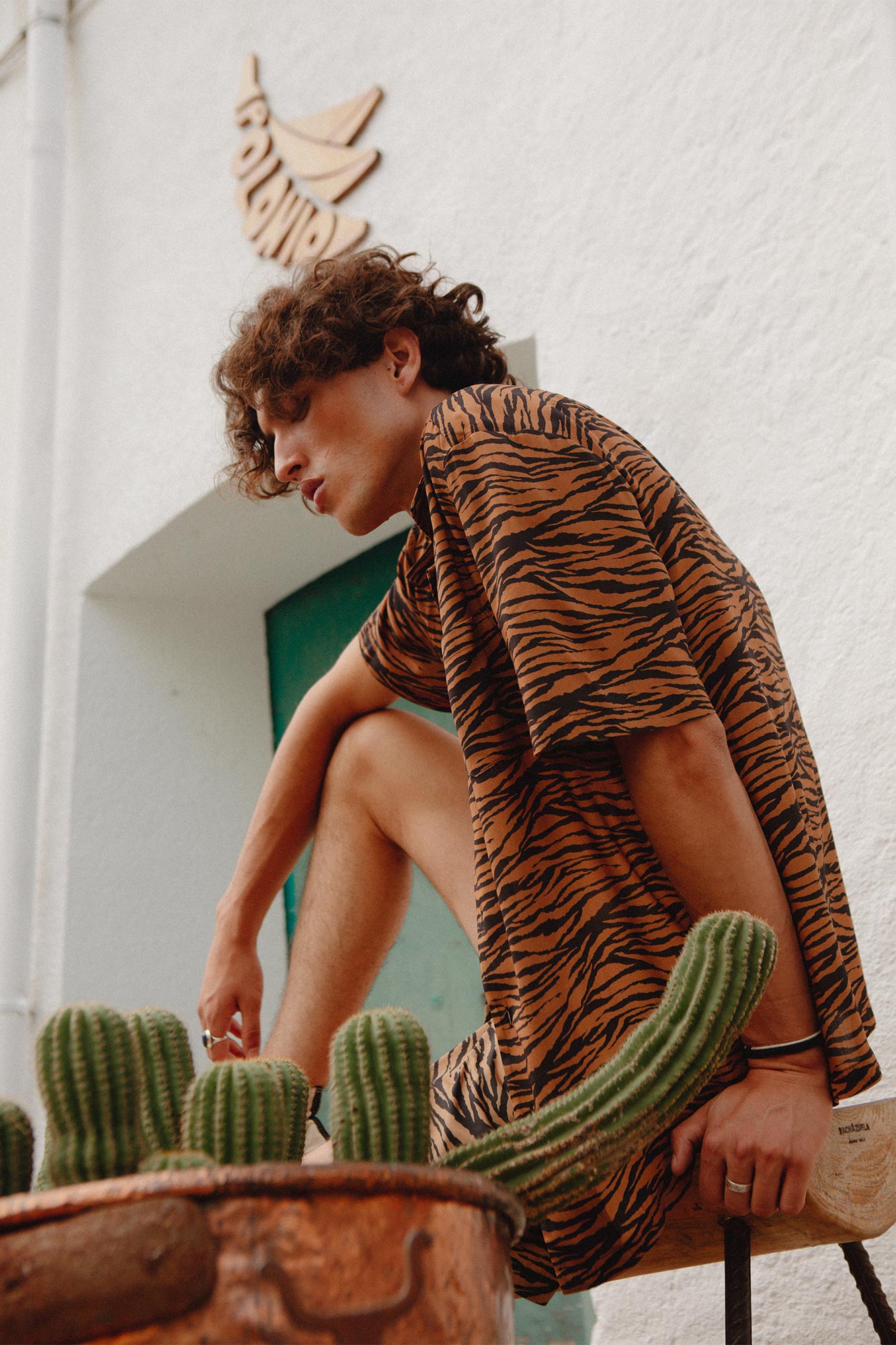 Tigre Camisa Camp-Collar